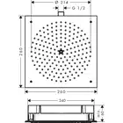 Raindance Głowica prysznicowa 260/260 1jet HANSGROHE 26472000